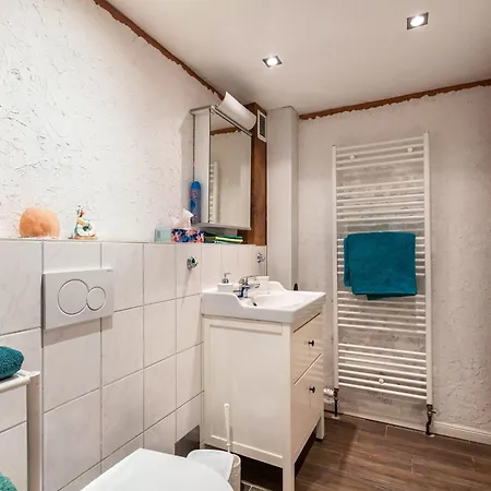 Hof Islandpferde Von Der Holstenau *