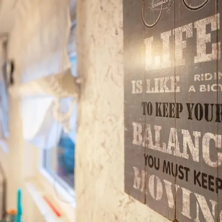 Hof Islandpferde Von Der Holstenau