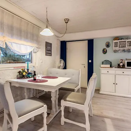 Hof Islandpferde Von Der Holstenau * Eggstedt